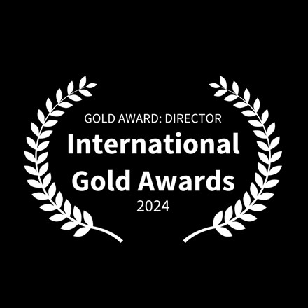 Short Films - "One Night in Flanders: Short Film" - Gold Award